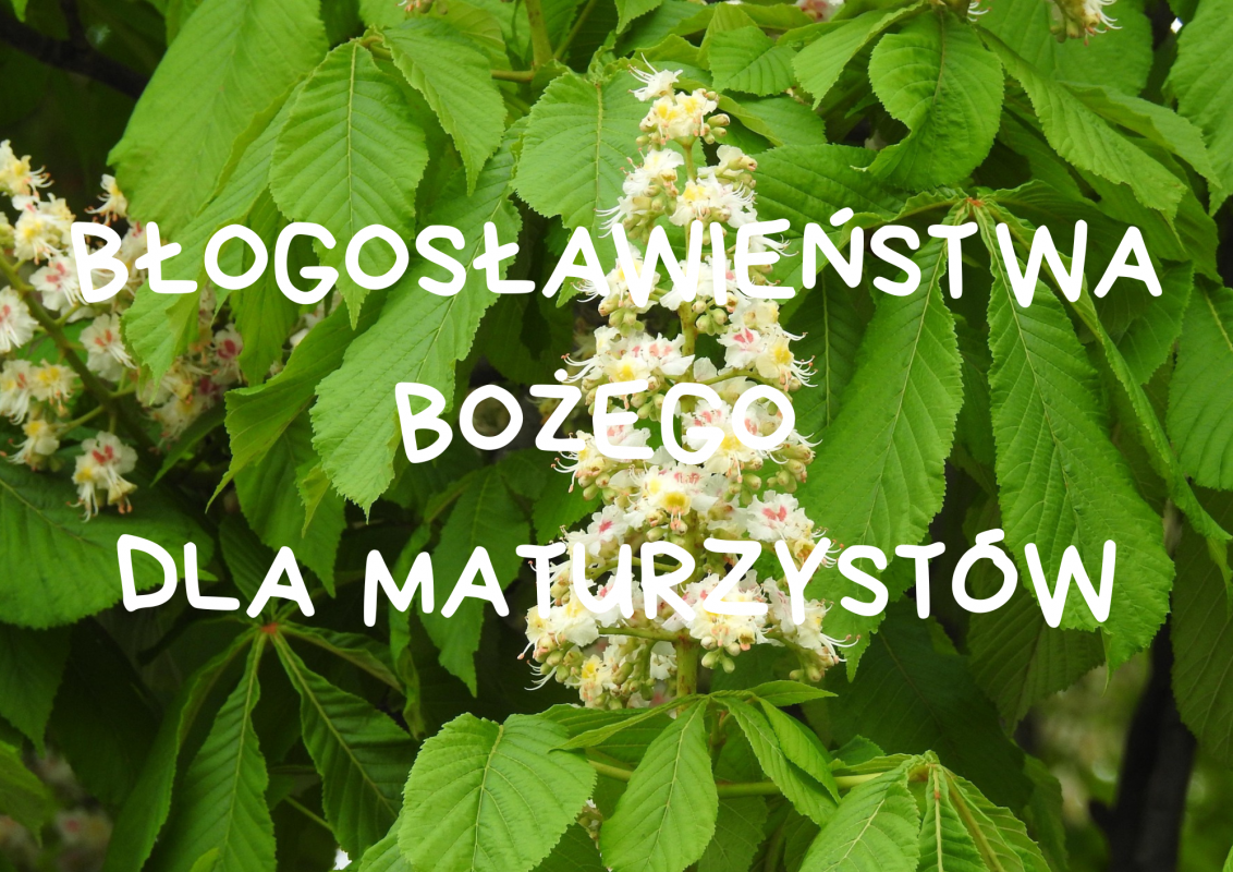 Maturzyści grafika