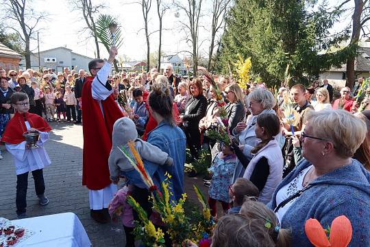 Niedziela Męki Pańskiej Palmowa