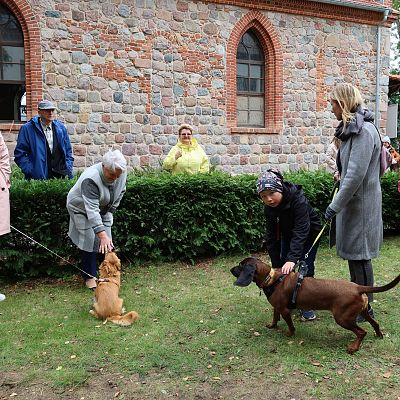 Franciszkowo grafika