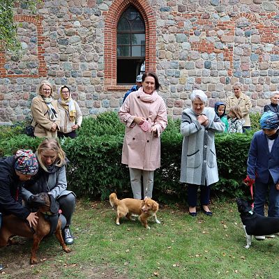 Franciszkowo grafika