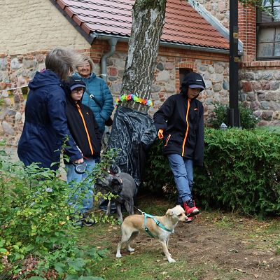 Franciszkowo grafika