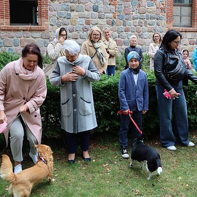 Franciszkowo grafika