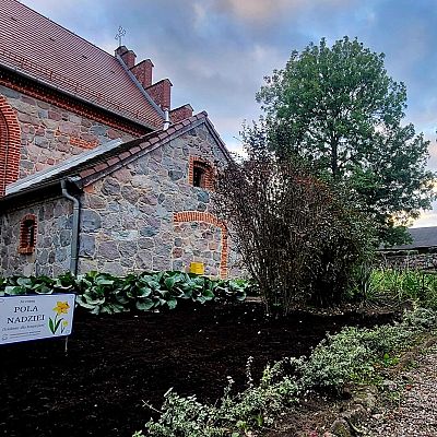 Pola Nadziei w Dobrej grafika