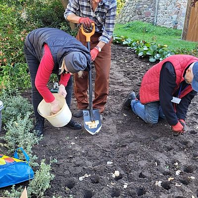 Pola Nadziei w Dobrej grafika