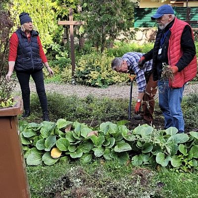 Pola Nadziei w Dobrej grafika