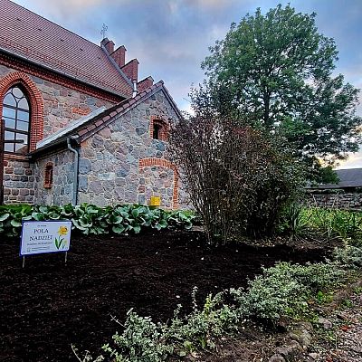 Pola Nadziei w Dobrej grafika