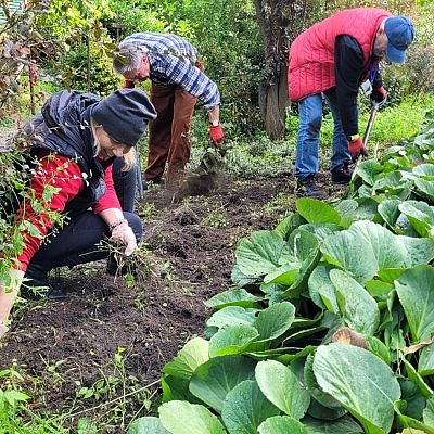 Pola Nadziei w Dobrej grafika